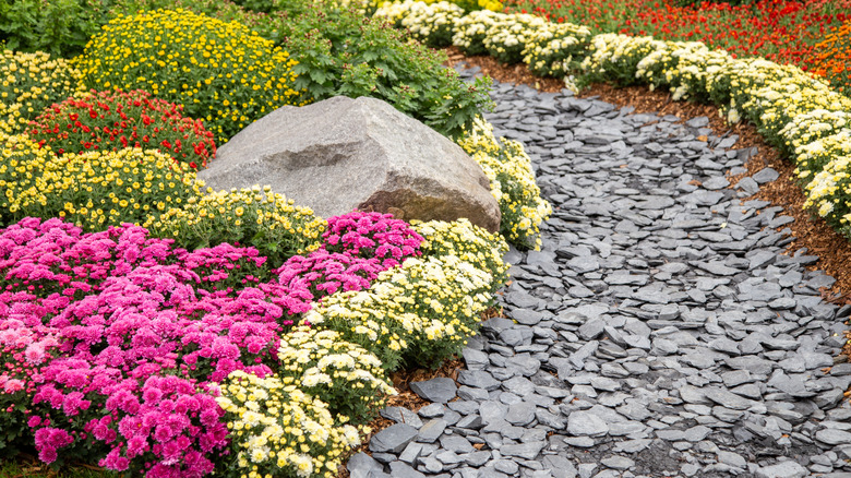 Fall flowers surrounding small ditch lined with shale