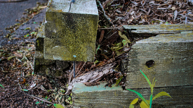 rotten and damaged wood in need of repair