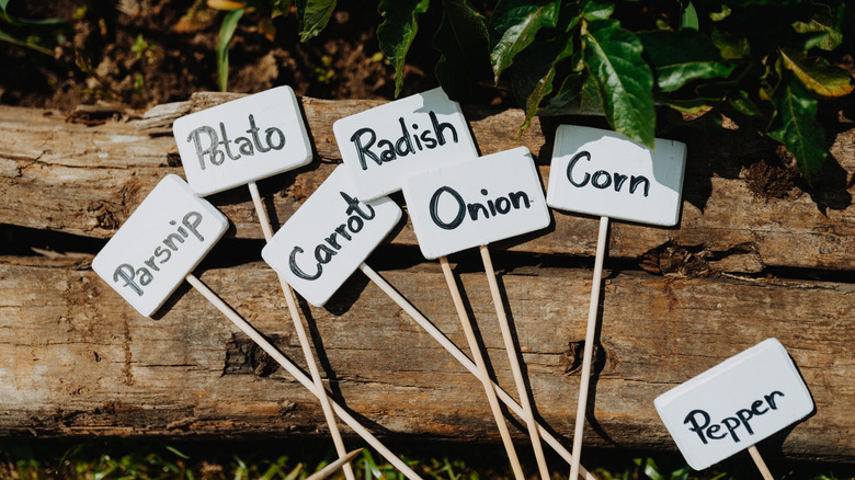 Homemade signs for vegetable garden plants